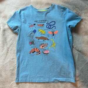 Mini Boden Shirt 11-12Y